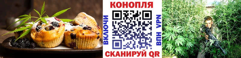 Купить где  Алзамай  Canna-Cookies марихуана 