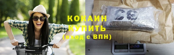 мет Няндома