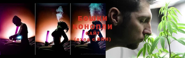 мет Няндома