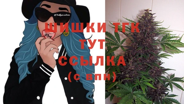 мет Няндома