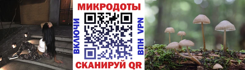 Галлюциногенные грибы Psilocybine cubensis  Купить где  Алзамай 